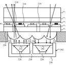 <br />
						Apple запатентовала технологию встраивания датчиков Touch ID и Face ID в дисплеи<br />
					